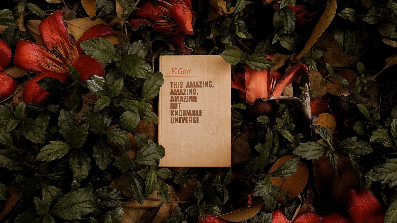 a book that is laying on some leaves