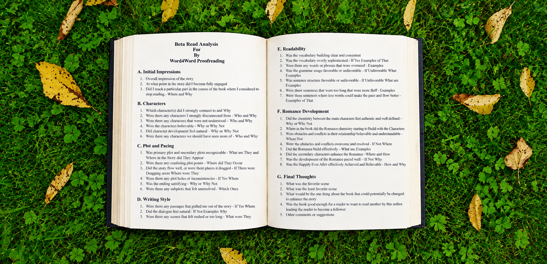 Beta Reading Analysis Book